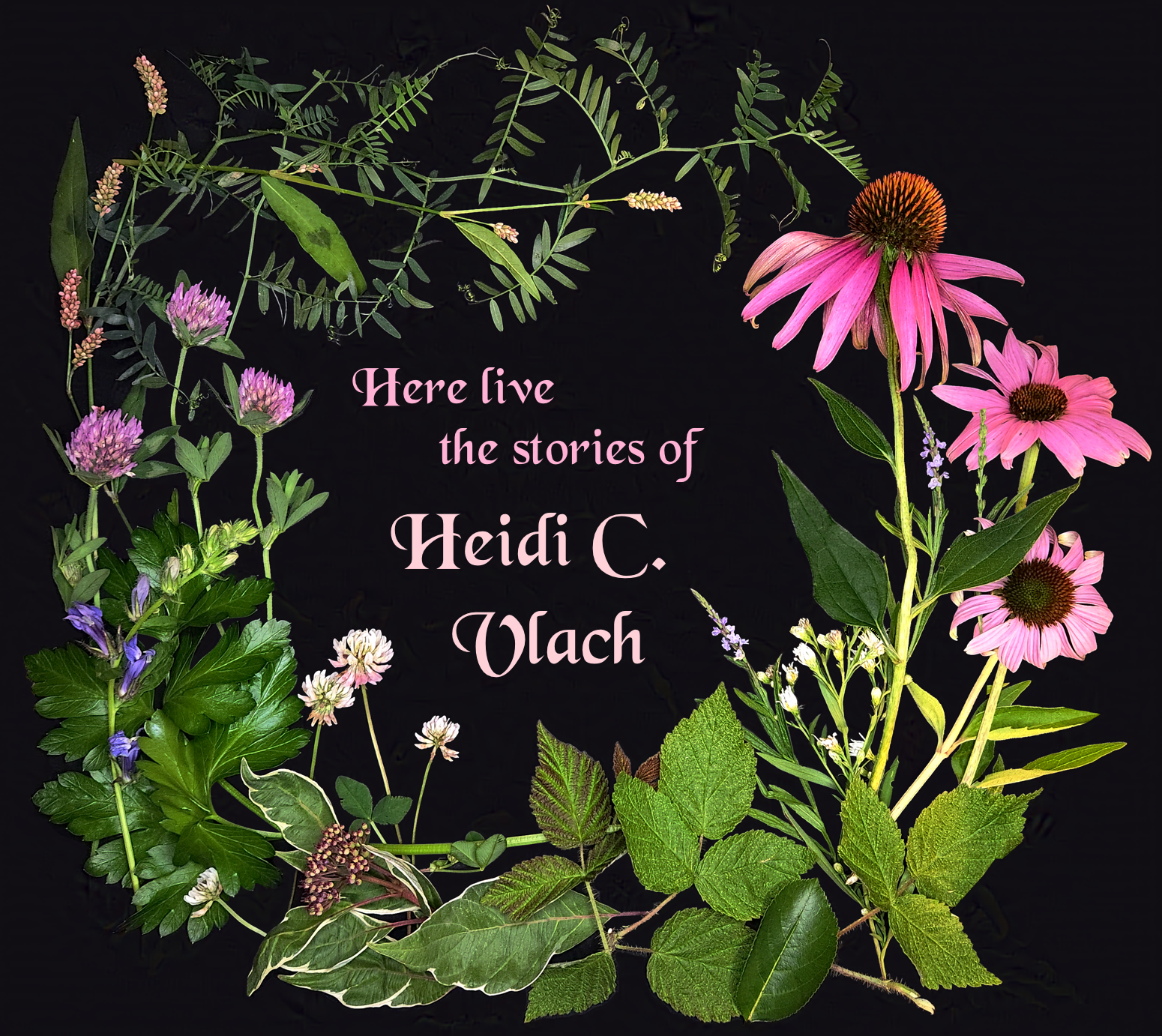 A circular arrangement of flowers and leaves. Inside the circle, text says Here live the stories of Heidi C. Vlach.